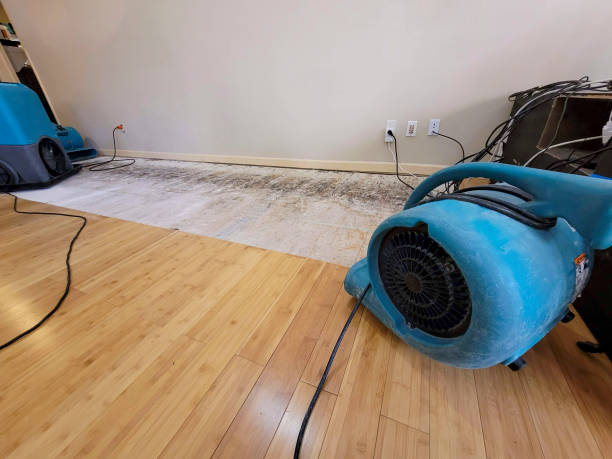Professional Sewage Cleanup technician working in Arp, TX